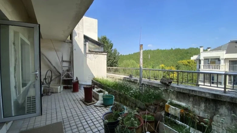 Silver Rich Garden - View 21