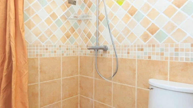 Monta Stream Park 1903 - View 6