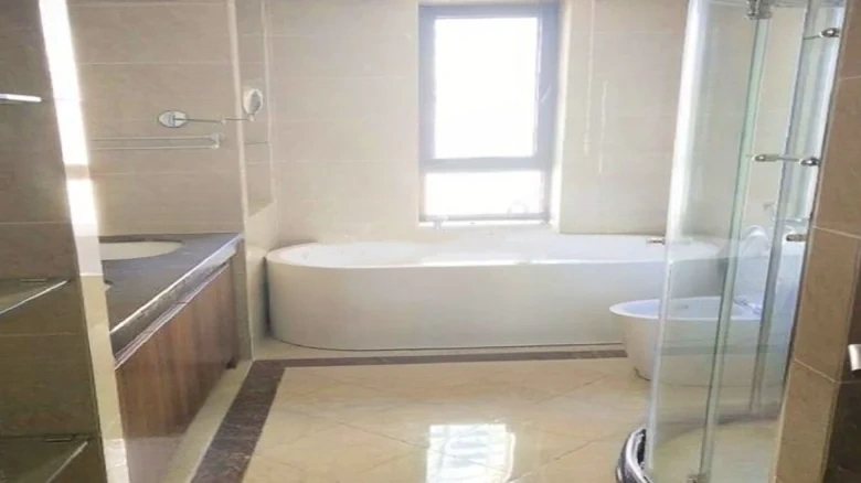 Shimao New Wulih River - View 9