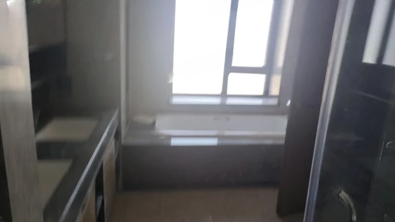 China Resources Center - View 5