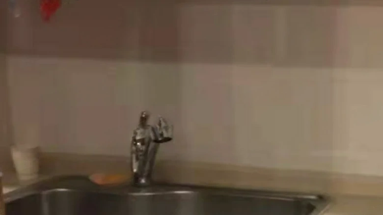 Vanke Bertram Garden - View 10