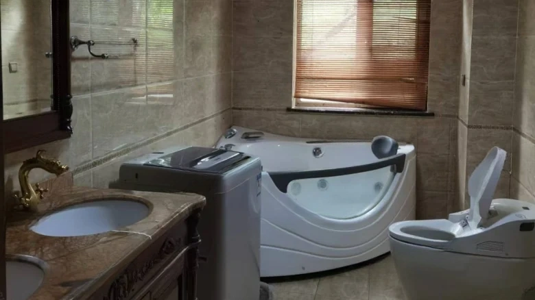 Nanhu One号 The '号' is typically left in Chinese as it can refer to a specific designation or number in a series, which doesn't have a direct equivalent in English. If an exact translation without characters is required, it would be - View 14