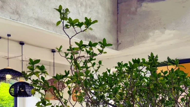 HSD Mountain Villa - View 9