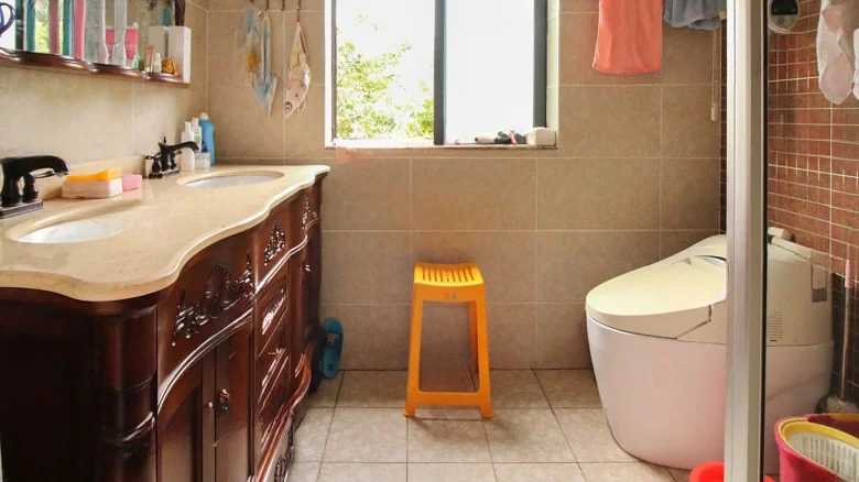 Victoria D District - View 18