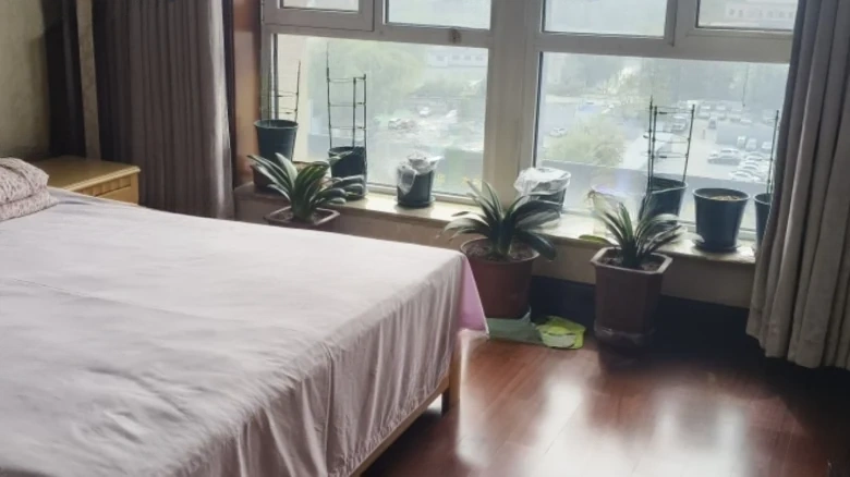 Wanda Mansion - View 3