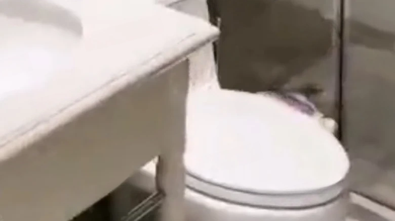 Cui Ping · Phoenix Water City - View 9