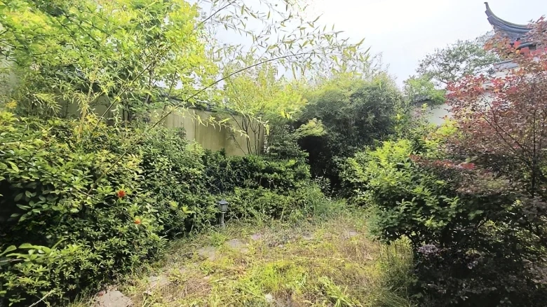 Ink Stream Lake - View 22