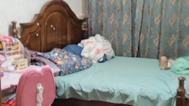 JinDi Artistic Vision - View 2