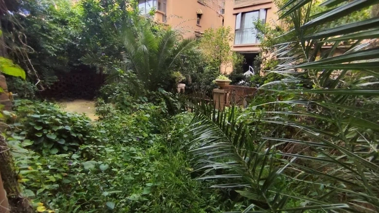 Dianchi Beauty Garden - View 26