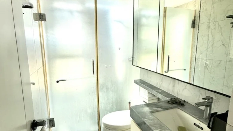 Mountain-Cloud Brocade - View 6