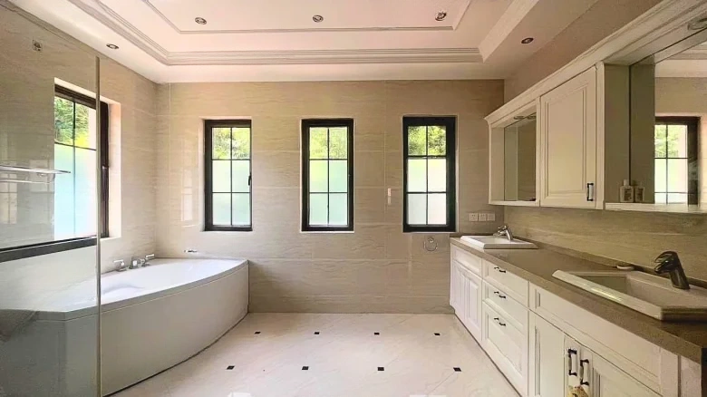 Dream Stream Lake Manor - View 31