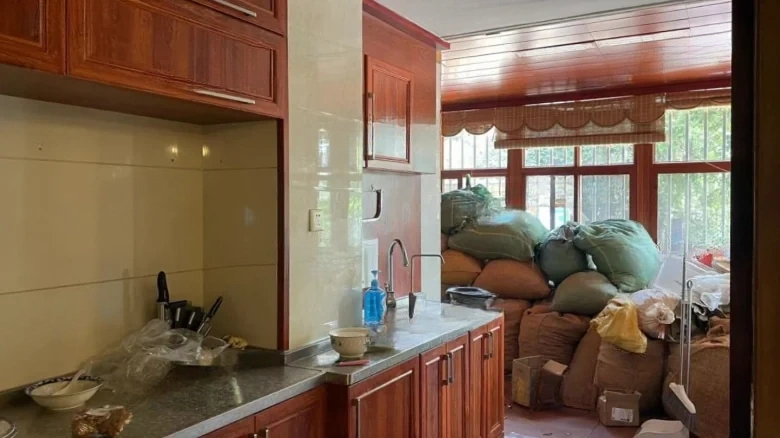 Dianchi Wei Cheng Blue Tune Gregorian Year - View 6