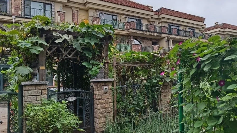 New Emerald Flower Stream - View 22