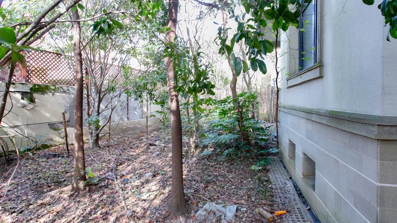 She Shan No. 3 - View 8