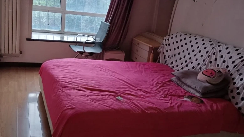 Wanrun Scenery - View 2