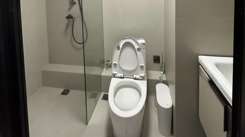 Cloud Seal · Joyful Seal - View 4