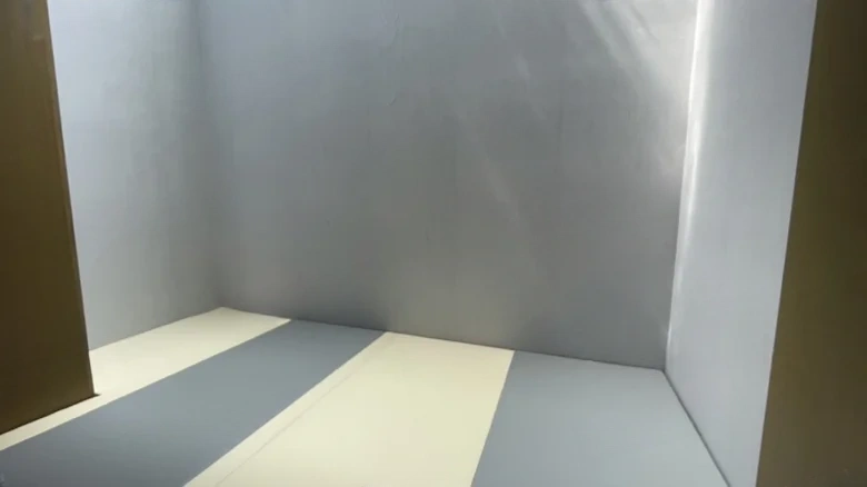 Fu Ying Tian Lu Lake - View 17