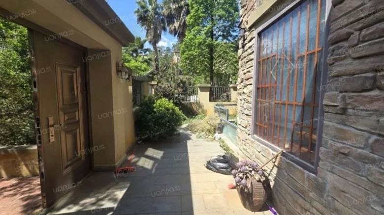 Forest Lake - View 20