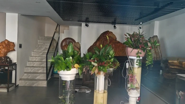 Shangzhou International Cruise City - View 1