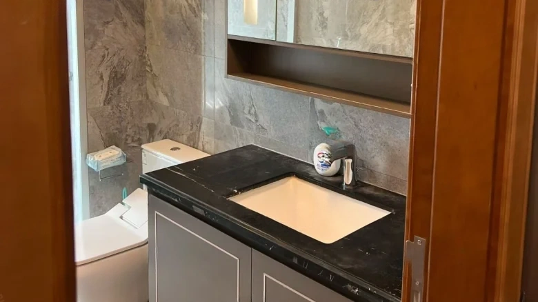 Country Garden · Seaside Metropolis - View 7