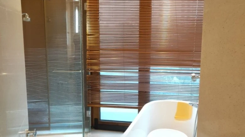 Half Mountain Peninsula - View 7