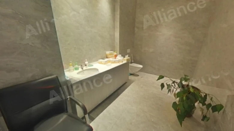 Zhongqiao Tower - View 4