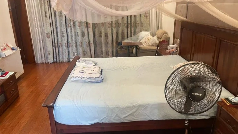 Silver Treasure Garden - View 3