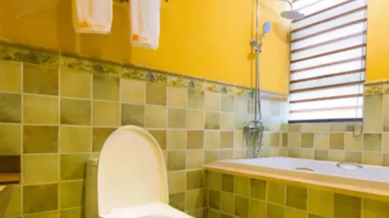 Cinnamon Camphor 16 Bazaar - View 21