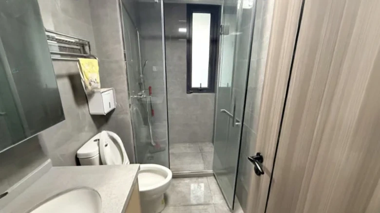 Lake East Future - View 2