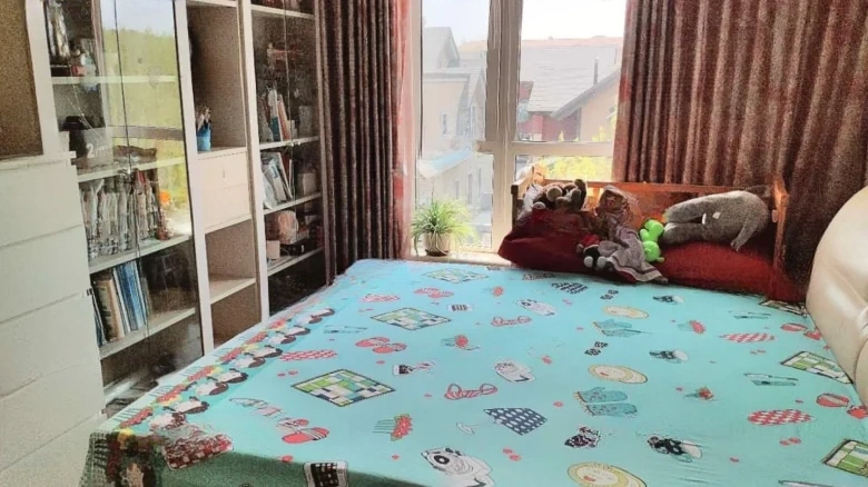 Vanke Whistler Township - View 4