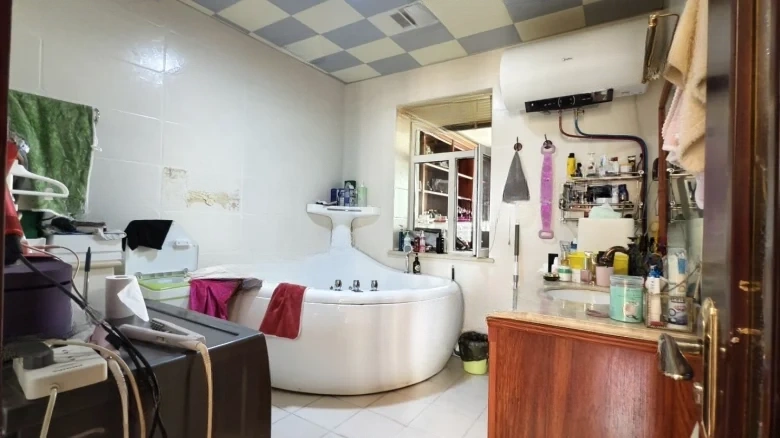 Rich Wang International Real Estate - View 11