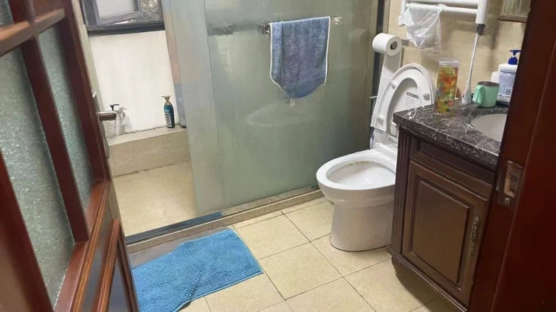 Silver Treasure Garden - View 8