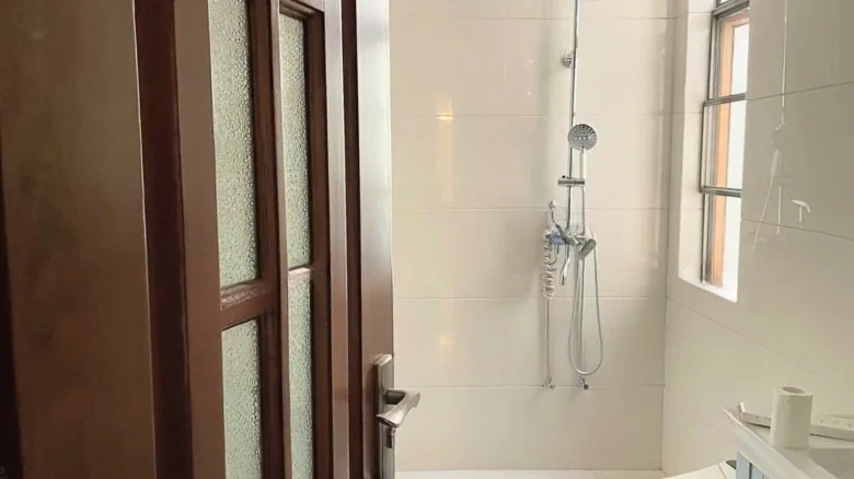 Dianchi Wei Cheng Blue Tune Gregorian Year - View 8