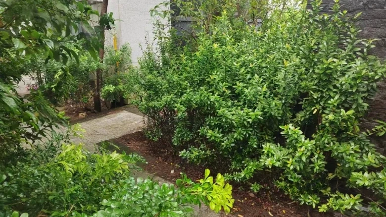 Lake View Mountain Retreat - View 18