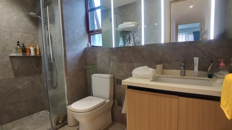 Vanke Lakeview Resort Park Phase II - View 10