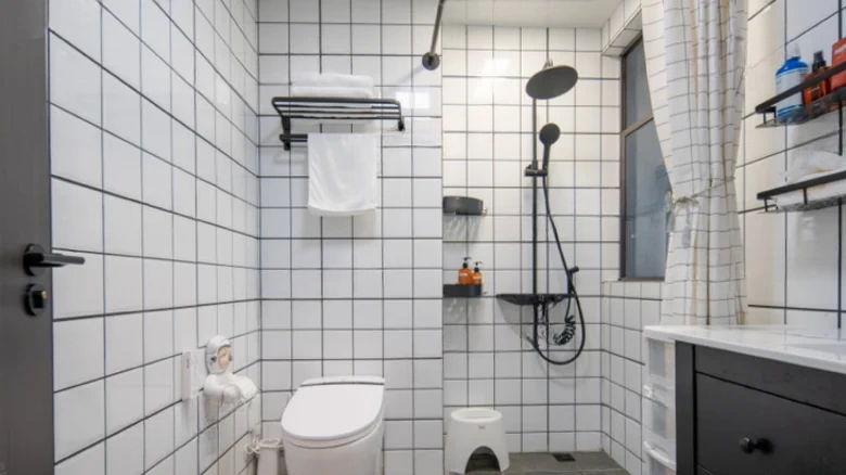 Bright Camphor Garden - View 7