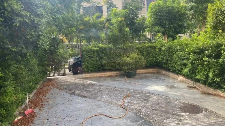 Jinyuan. Coconut View Blue Shore - View 9