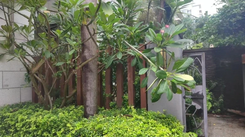 Lake View Mountain Retreat - View 16