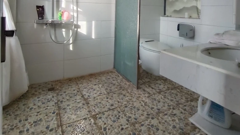 European Garden - View 11