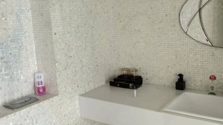 Phoenix Island - View 4