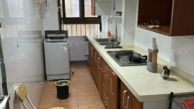 Tongrun Feishiallen - View 5