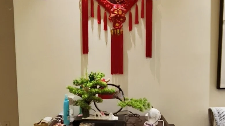 Huayue Haitang - View 7