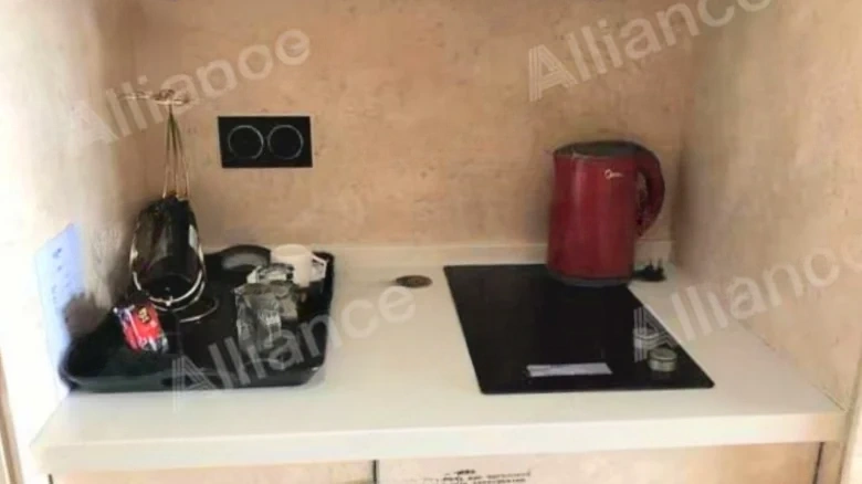 Phoenix Island - View 3