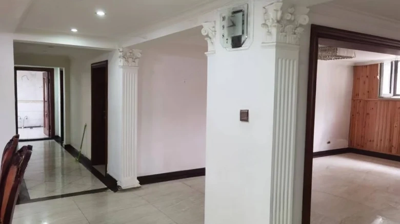 Nanhu One号 The '号' is typically left in Chinese as it can refer to a specific designation or number in a series, which doesn't have a direct equivalent in English. If an exact translation without characters is required, it would be - View 11