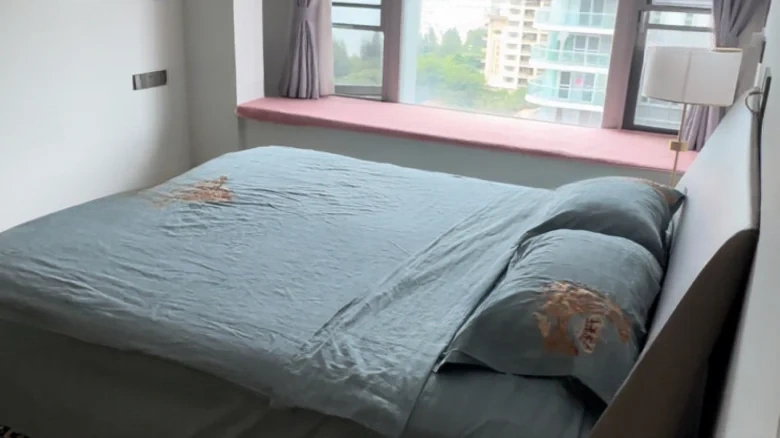 Vanke Maritime Metropolis - View 1