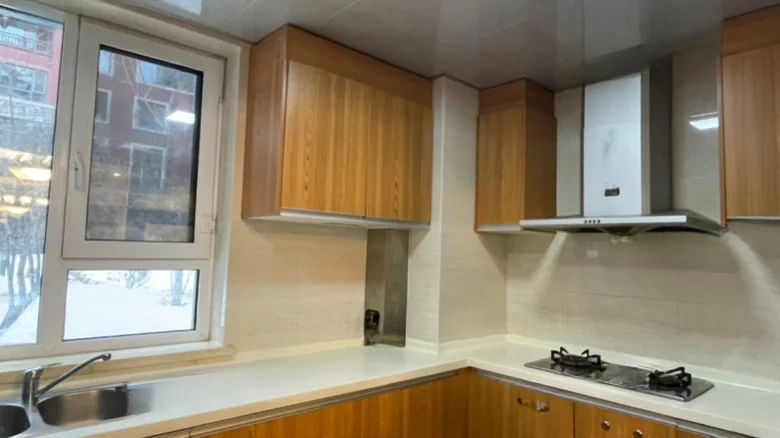 Vanke Whistler Township - View 14