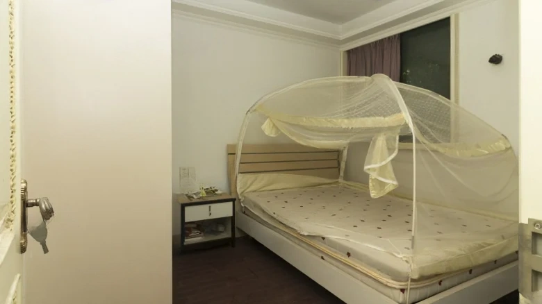 Tongren Garden - View 2