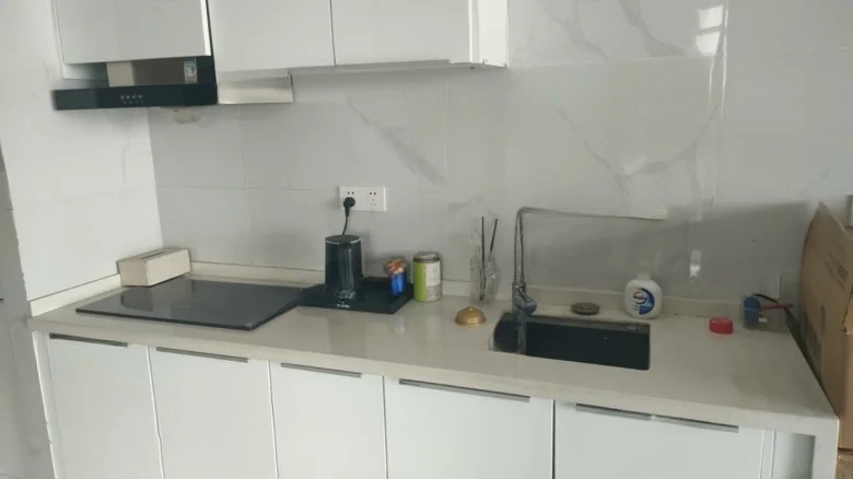 Shimao Pullman - View 5