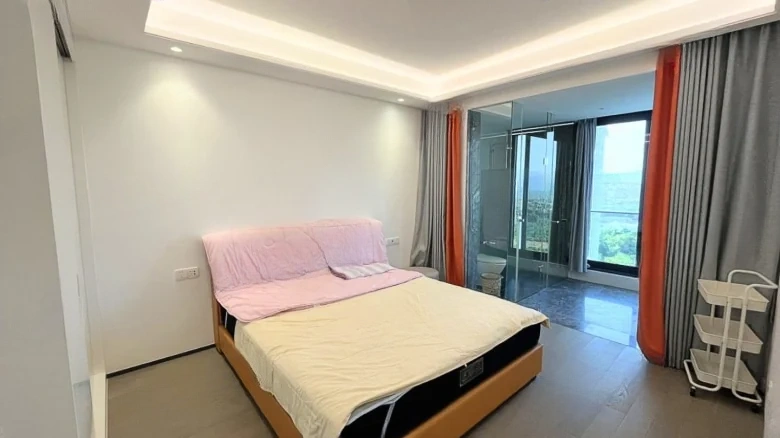 Art Hibiscus - View 4