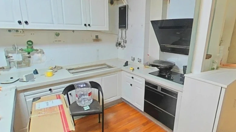 Palace王府 Garden花园 - View 7